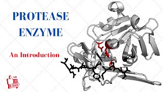 PROTEASE ENZYME An Introduction [upl. by Lewej707]