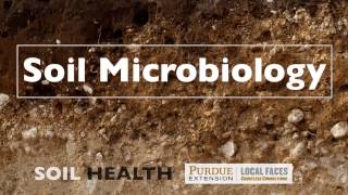 Soil Basics Soil Microbiology [upl. by Ahsinert]