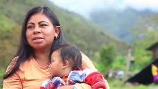 Documental Indígenas Uwa Colombia  Guardianes de la Madre Tierra [upl. by Dailey141]