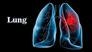 Pulmonary Ventilation System Respiratory [upl. by Clie]