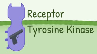 Receptor Tyrosine Kinase  MAPK Pathway [upl. by Palm]