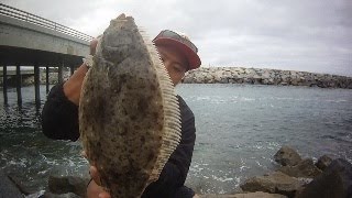 San Diego Jetty Fishing  Halibut [upl. by Taub]