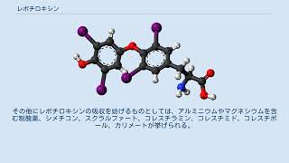 レボチロキシン [upl. by Leddy]