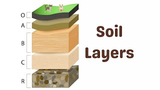 Soil Horizons Explained [upl. by Lenahs496]