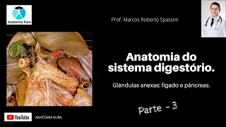 Anatomia do sistema digestório glândulas anexas  Parte 3 [upl. by Roseanne]