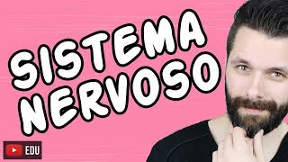 SISTEMA NERVOSO  FISIOLOGIA  Aula  Biologia com Samuel Cunha [upl. by Kunz]