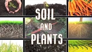 All About soil [upl. by Browning]