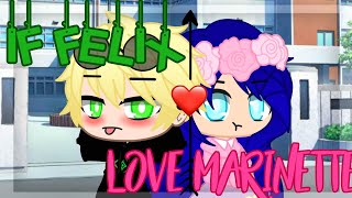 If Felix Fall In Love With Marinette  Gachaclub miraculous ladybug gacha [upl. by Oster225]