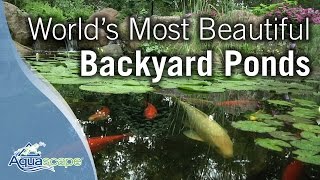 Worlds Most Beautiful Backyard Ponds [upl. by Richards278]