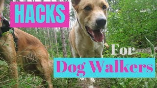 7 MAJOR Hacks for DOG WALKERS [upl. by Eliam]