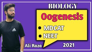 Oogenesis  NMDCAT 2021 [upl. by Edge]