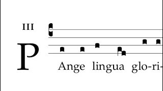 Hymnus Pange lingua corporis amp Tantum ergo [upl. by Joaquin524]