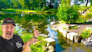 Amazing FARM POND Renovation [upl. by Germann863]