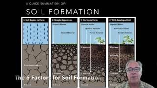 Soil Formation 5 Soil Factors Part 1 [upl. by Nilyac]