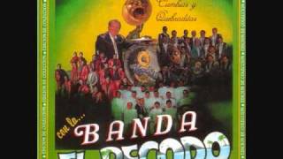 Banda El Recodo Mix De Cumbias [upl. by Meggs]