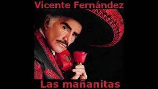 VICENTE FERNANDEZ LAS MAÑANITAS [upl. by Eniamrahs]