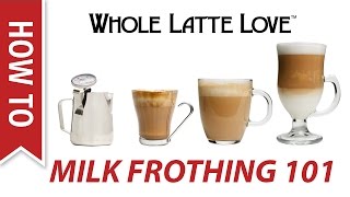 Milk Frothing for Beginners [upl. by Akinuahs]