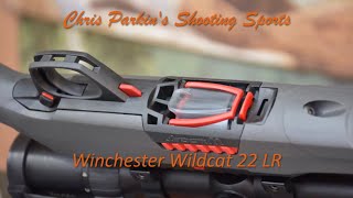 Winchester Wildcat 22 LR REVIEW [upl. by Magee]