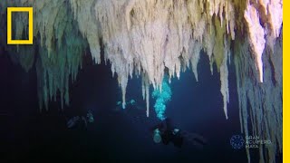 Explore the Worlds Largest Underwater Cave  National Geographic [upl. by Grimonia]