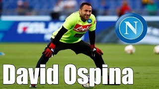 David Ospina • Amazing Saves amp Skills [upl. by Goldsworthy]