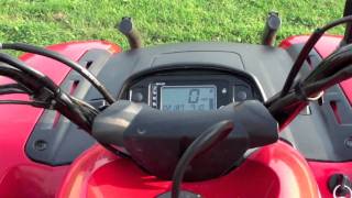 Yamaha Grizzly 660Walk Around and Acceleration [upl. by Brookner]