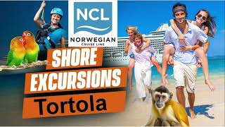 Tortola NCL Shore Excursion Options [upl. by Bigod]