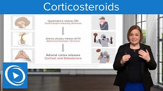 Corticosteroids – Pharmacology  Lecturio Nursing [upl. by Natty]