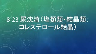 823 尿沈渣（塩類類・結晶類：コレステロール結晶） [upl. by Akinimod]