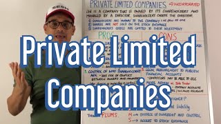 Private Limited Companies [upl. by Akehs341]