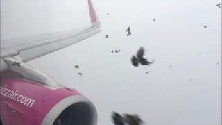 BIRDSTRIKE Wizzair  A321  Eindhoven  Budapest  full flight video [upl. by Had]