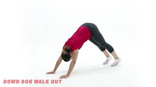 Down Dog WalkOut—Swimmer’s Strength Workout [upl. by Marienthal]