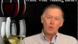 Basic White Wine Making [upl. by Assyla]