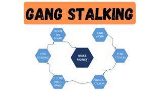 How the System Works  GANG STALKING  Targeted Individuals  Electronic Harassment [upl. by Lemraj]