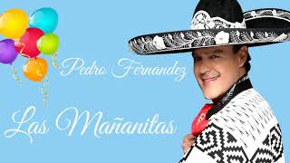 🎉 PEDRO FERNANDEZ 🎁 LAS MAÑANITAS PARA CUMPLIAÑERITOS [upl. by Aiuqenehs]