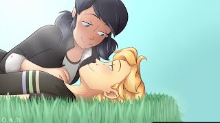 Marinette x Adrien in Future Miraculous Ladybug Comic Dub [upl. by Rimahs]