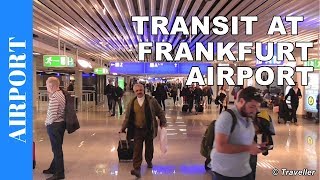 TRANSIT WALK AT FRANKFURT Airport FRA Terminal 1  Connection Flight Transfer Arriving amp Departing [upl. by Noteek501]