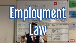 Employment Law [upl. by Naamann]