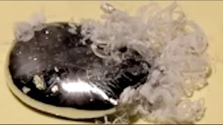 Mercury vs Aluminium  A weird looking reaction [upl. by Hughett576]